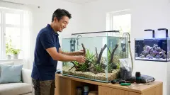 Complete Aquarium Setup Guide: Equipment, Cycles, and Species Selection for Freshwater and Saltwater Tanks