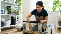 How to Set Up a Betta Fish Tank: Equipment, Water Conditions, and Habitat Requirements