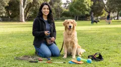 What Are Canine Training Aids? Understanding Modern Dog Training Equipment