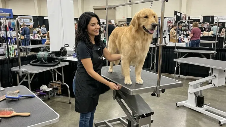 How do I choose the right grooming table for my dog's size and breed?