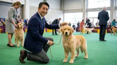 Best Dog Showmanship Leashes for Junior Handlers and Beginners