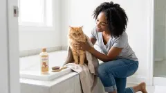 How Often Should You Bathe a Cat? The Truth About Feline Bath Frequency