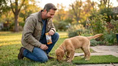 How to Potty Train a Puppy: Complete Guide for New Dog Owners