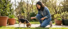 How to Potty Train a Stubborn Puppy That Won't Listen