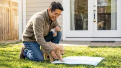 Puppy Potty Training Schedule: Complete Timeline by Age