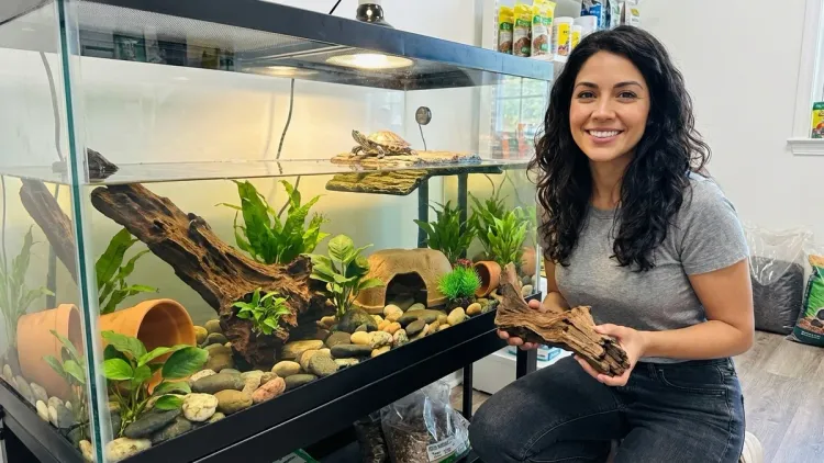 Decorations, Plants, and Enrichment Items